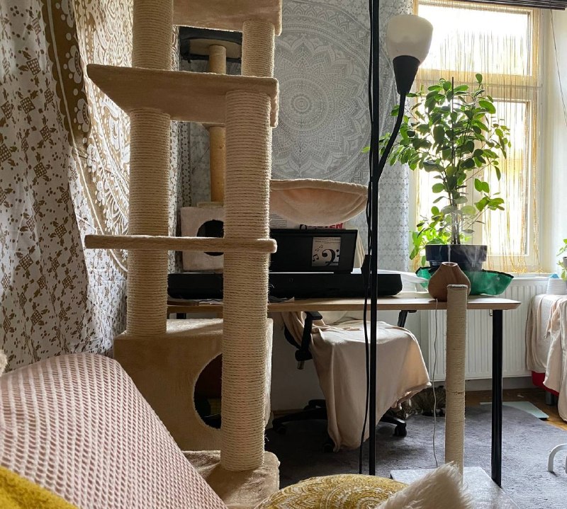 Studio von Amy Lang in Graz-Lend